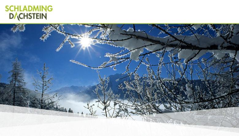 Hotel Vitaler Landauerhof Schladming Eksteriør billede